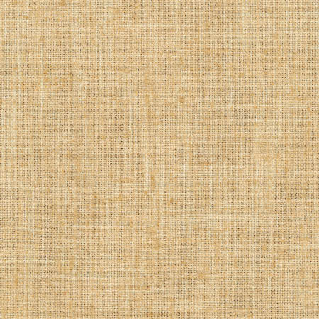 Consultant Sunbaked by Carole Designer Fabric Sunbaked 100% Polyester INDIA None 54" - Swanky Fabrics -