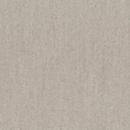 Freshman Charcoal by Carole Designer Fabric Dove Wing 100% Polyester INDIA None 54" - Swanky Fabrics -