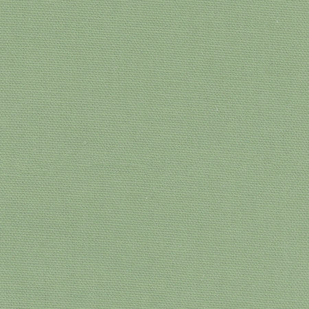 Daydreamer Seafoam by Carole Designer Fabric Daydreaming 100% Cotton- Soil Release USA None 54" - Swanky Fabrics -