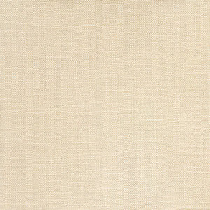 Real Simple Sandstone by Carole Designer Fabric
