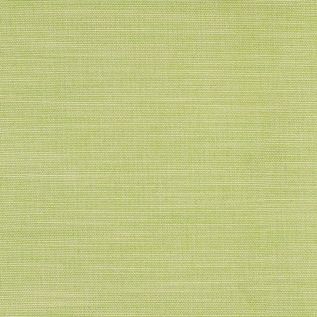 Boardroom Spring by Carole Designer Fabric Power Play 100% IFR Hybrid Polyester 25,000 Wyzenbeek Double Rubs None 54" - Swanky Fabrics -