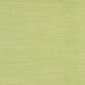 Boardroom Spring by Carole Designer Fabric