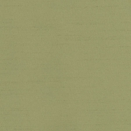 Bane Meadow by Carole Designer Fabric With Grace 100% Polyester Hybrid FR Mexico 30,000 WYZENBEEK DOUBLE RUBS None 54" - Swanky Fabrics -