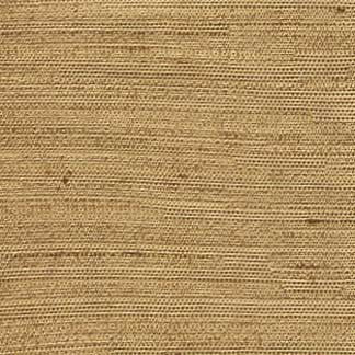 Aiden Almond by Carole Designer Fabric Subtle Hints,Aiden Gallery 100% Polyester INDIA PASSES 30,000 DOUBLE RUBS WYZENBEEK Horizontal: 0" and Vertical: 0" 56" - Swanky Fabrics -