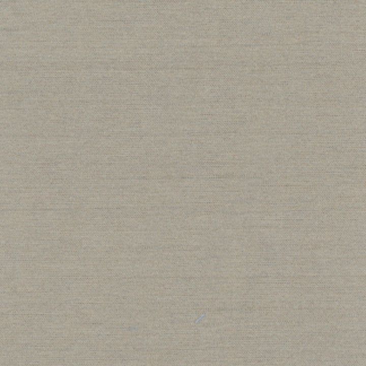 Northwind Smoke by Carole Designer Fabric New Northwind Iv 100% Polyester India Passes 9,000 Double Rubs Wyzenbeek Horizontal: 0 and Vertical: 0 54 - Swanky Fabrics -