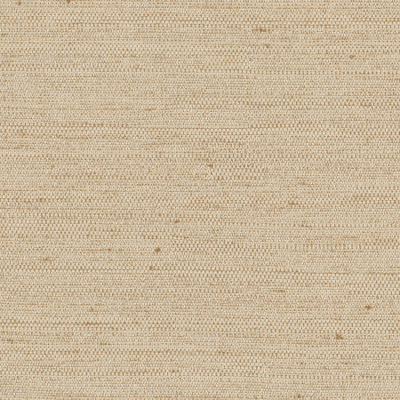 Aiden Natural by Carole Designer Fabric Aiden Gallery,Opal,Subtle Hints 100% Polyester INDIA PASSES 30,000 DOUBLE RUBS WYZENBEEK </p><p>Repeat: None 56" - Swanky Fabrics -