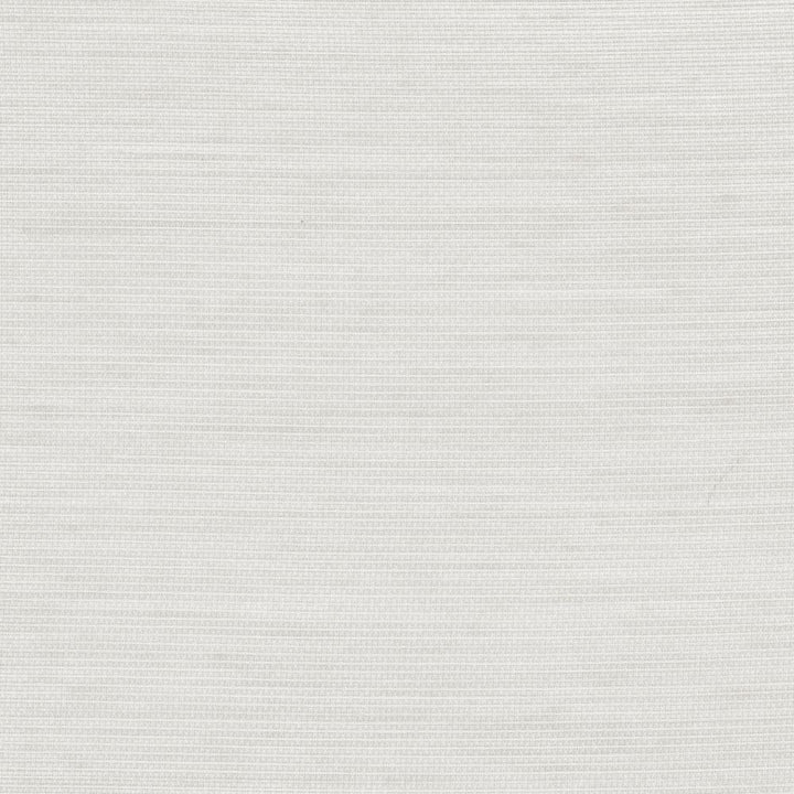 Just So Silver by Carole Designer Fabric Sheer Structure 100% Polyester Turkey N/A Horizontal: 0 and Vertical: 0 118 - Swanky Fabrics -