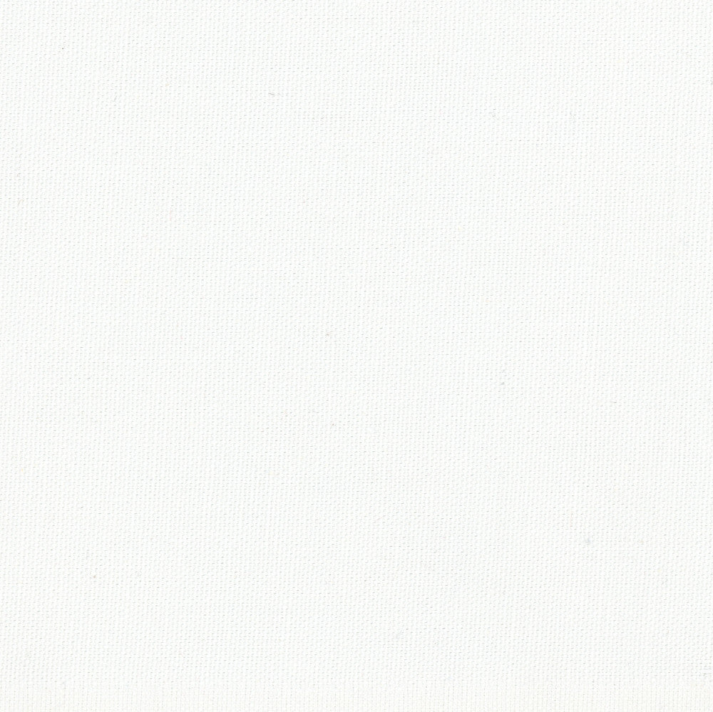 Dreamy White by Carole Designer Fabric Daydreaming 100% Cotton- Soil Release USA Passes 30,000 Double Rubs Wyzenbeek Horizontal: 0 and Vertical: 0 54 - Swanky Fabrics -