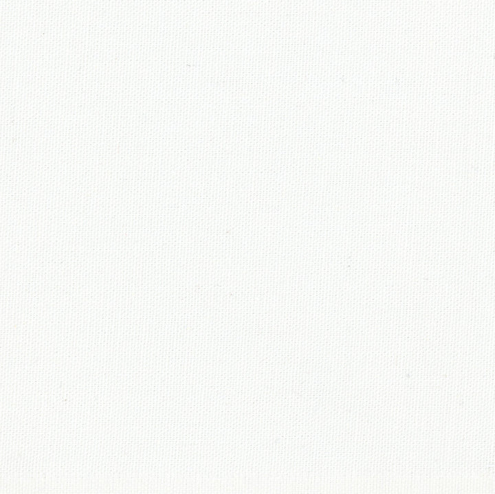 Dreamy White by Carole Designer Fabric Daydreaming 100% Cotton- Soil Release USA Passes 30,000 Double Rubs Wyzenbeek Horizontal: 0 and Vertical: 0 54 - Swanky Fabrics -