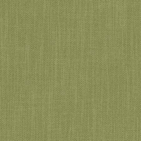 Liberty Pine by Carole Designer Fabric Liberty II 100% Polyester India 50,000 Wyzenbeek Double Rubs None 54" - Swanky Fabrics -