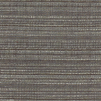 Emmeline Graphite by Carole Designer Fabric Lydia II 100% Polyester India None 54" - Swanky Fabrics -