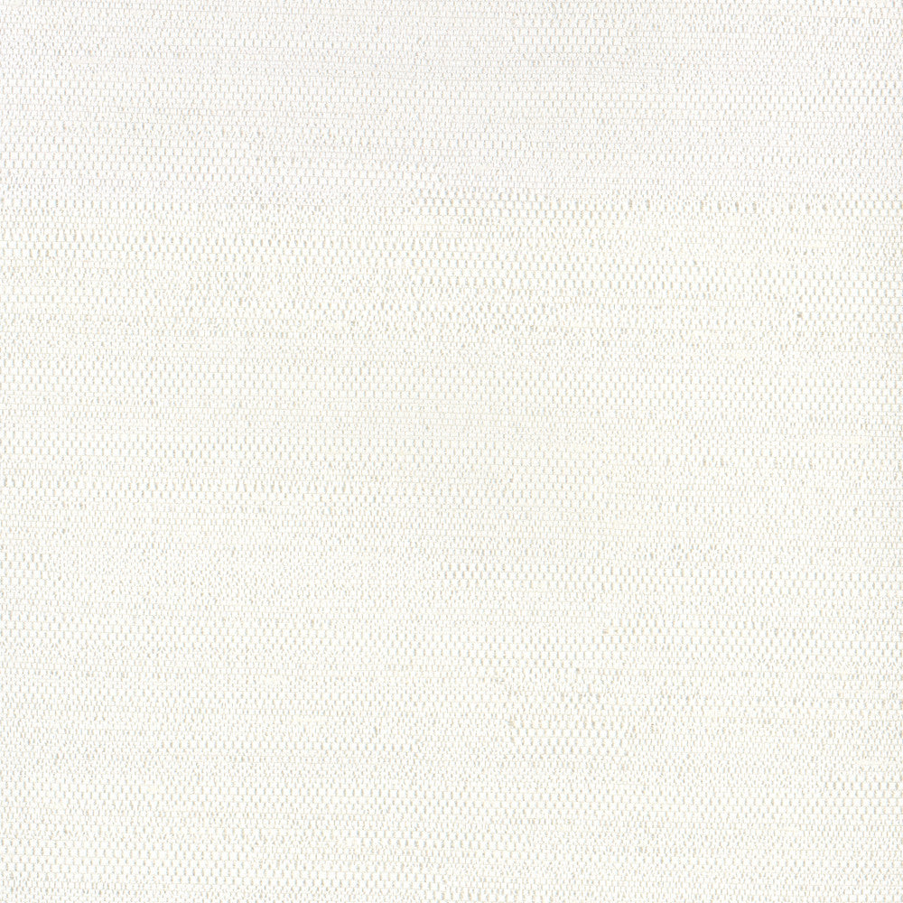 Aiden Off White by Carole Designer Fabric Opal 100% Polyester India N/A Horizontal: 0 and Vertical: 0 54 - Swanky Fabrics -
