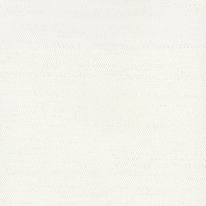 Aiden Off White by Carole Designer Fabric Opal 100% Polyester India N/A Horizontal: 0 and Vertical: 0 54 - Swanky Fabrics -