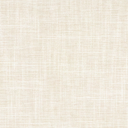 Big Thinker Abalone by Carole Designer Fabric Power Play 100% Polyester N/A None 55" - Swanky Fabrics -
