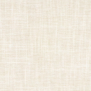 Big Thinker Abalone by Carole Designer Fabric
