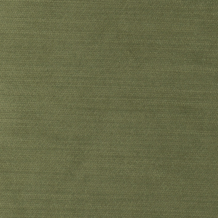 Cool Touch Homegrown by Carole Designer Fabric Touch Of Luxury 100% Polyester Turkey 50,000 Wyzenbeek Double Rubs Horizontal: 0 and Vertical: 0 54 - Swanky Fabrics -