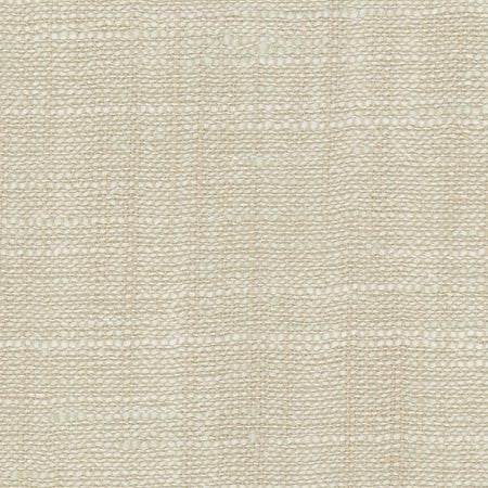 Take Care Chablis by Carole Designer Fabric COME HOME 100% Polyester India None 54" - Swanky Fabrics -