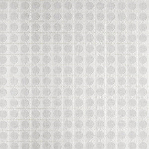 Apogee Grey by Carole Designer Fabric