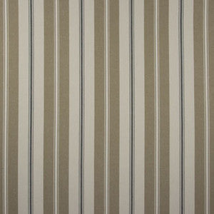 Accentuate Wicker by Carole Designer Fabric