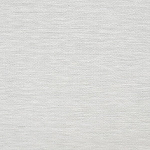 Sensational Shark by Carole Designer Fabric