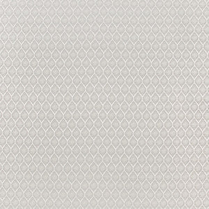Girls Night Out Silver by Carole Designer Fabric