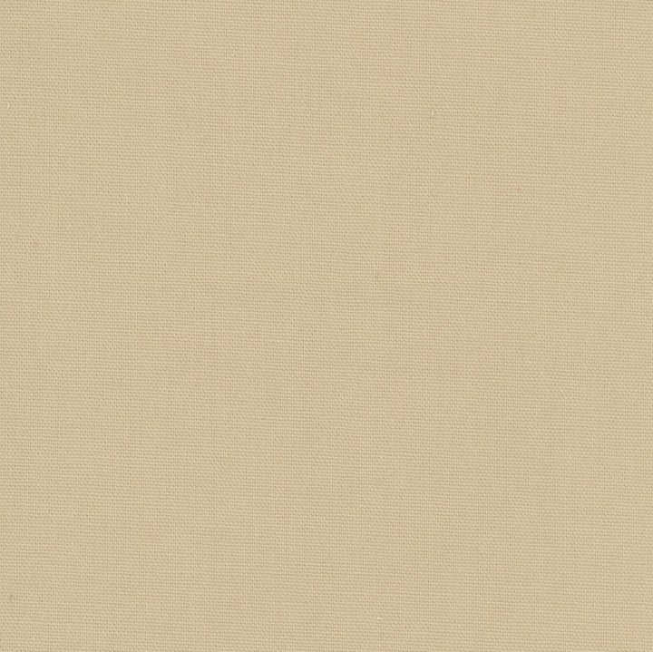 Daydreamer Sandstone by Carole Designer Fabric Daydreaming 100% Cotton- Soil Release USA Passes 30,000 Double Rubs Wyzenbeek Horizontal: 0 and Vertical: 0 54 - Swanky Fabrics -