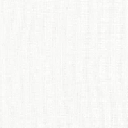 Aerial White by Carole Designer Fabric Opal,Dove Wing 100% Polyester India None 54" - Swanky Fabrics -