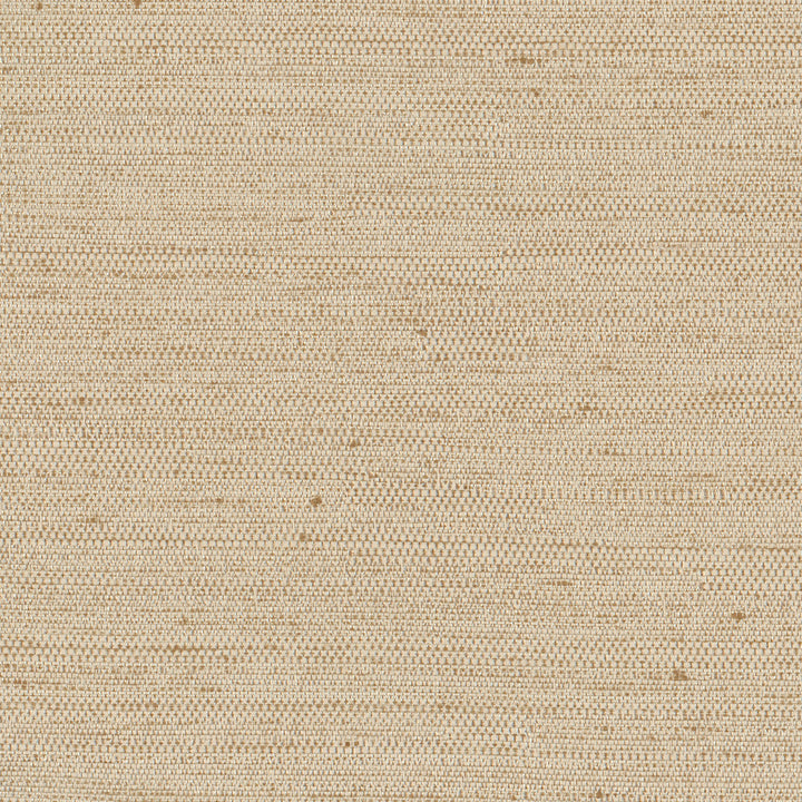 Aiden Natural by Carole Designer Fabric Opal 100% Polyester India N/A Horizontal: 0 and Vertical: 0 54 - Swanky Fabrics -