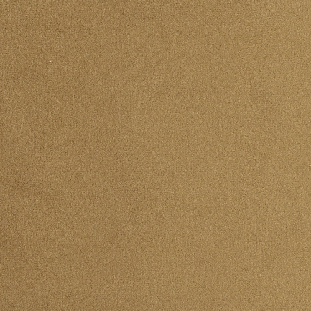 Plush Touch Camel by Carole Designer Fabric Touch Of Luxury 100% Polyester Knit Backing China 235,000 Wyzenbeek Double Rubs Horizontal: 0 and Vertical: 0 55 - Swanky Fabrics -