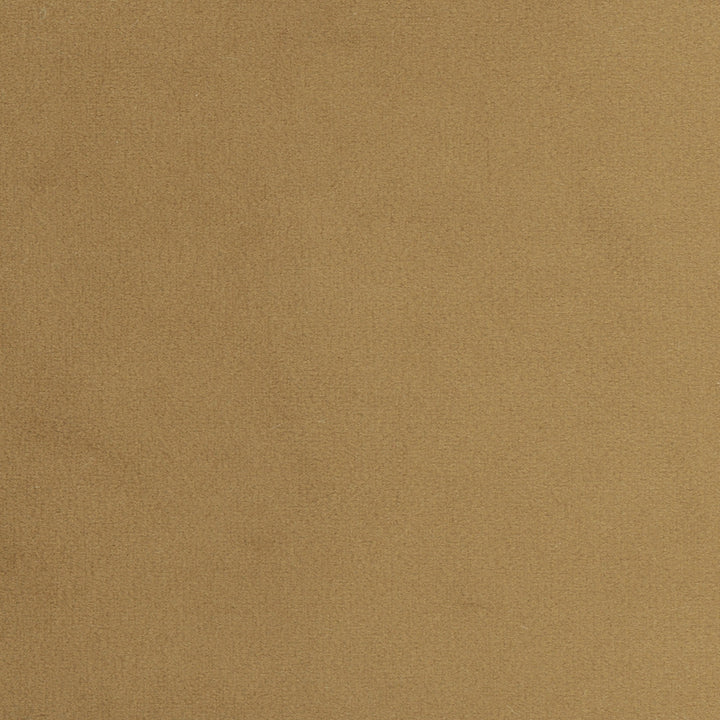 Plush Touch Camel by Carole Designer Fabric Touch Of Luxury 100% Polyester Knit Backing China 235,000 Wyzenbeek Double Rubs Horizontal: 0 and Vertical: 0 55 - Swanky Fabrics -