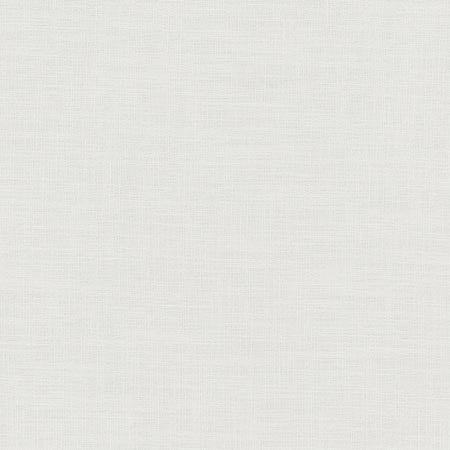 Fundamental Pewter by Carole Designer Fabric FUNDAMENTAL 100% Polyester Turkey Passes 20,000 Double Rubs Wyzenbeek None 54" - Swanky Fabrics -