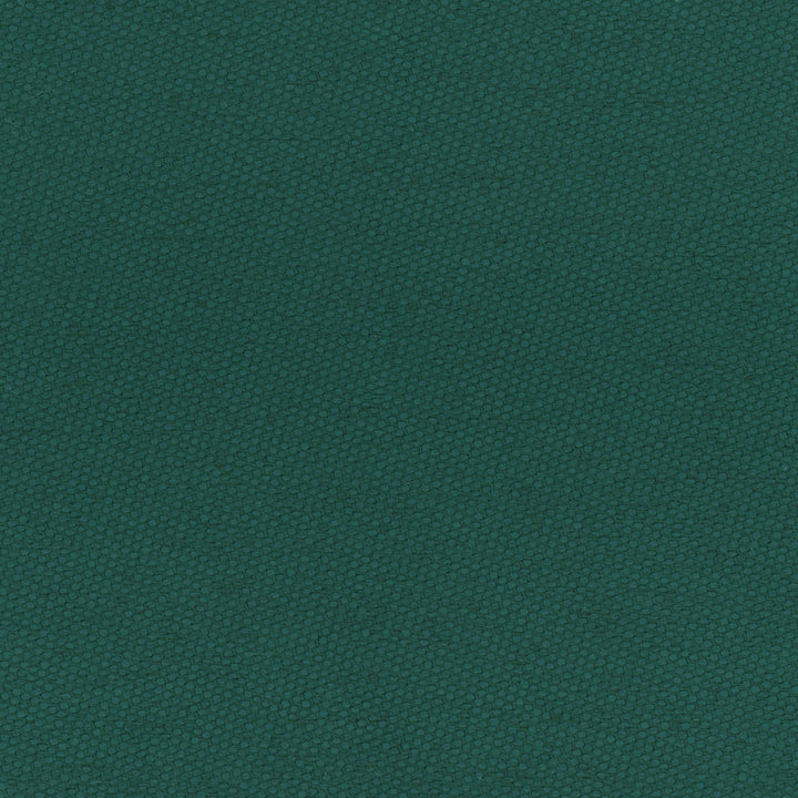 Fact Finder Pine by Carole Designer Fabric Celadon 100% Polyester Turkey Passes 40,000 Double Rubs Wyzenbeek Horizontal: 0 and Vertical: 0 59 - Swanky Fabrics -