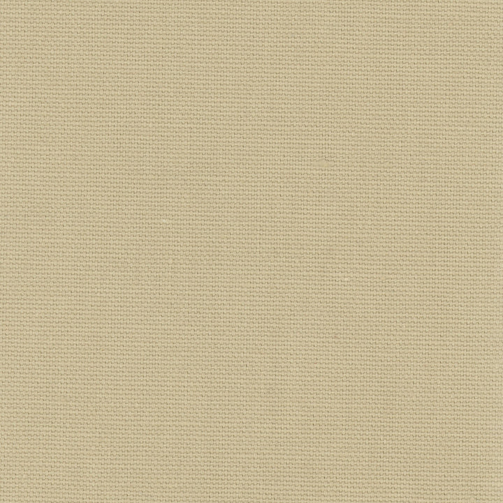 Daydreamer Raffia by Carole Designer Fabric Daydreaming 100% Cotton- Soil Release USA Passes 30,000 Double Rubs Wyzenbeek Horizontal: 0 and Vertical: 0 54 - Swanky Fabrics -