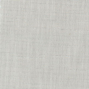 Photo Finish Dove Grey by Carole Designer Fabric