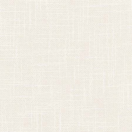 As Always Coconut by Carole Designer Fabric See It Through 100% Polyester Turkey None 55.5" - Swanky Fabrics -
