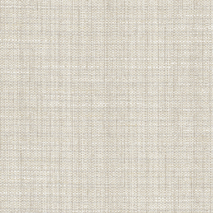 Rock Wall Fog by Carole Designer Fabric Opal 83% Polyester, 12% Cotton, 5% Rayon India N/A Horizontal: 0 and Vertical: 0 55 - Swanky Fabrics -