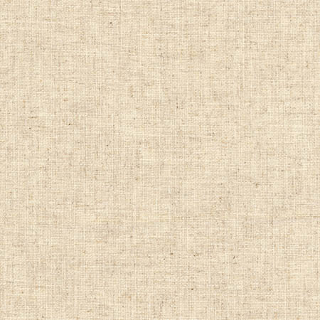 Sheriff Linen by Carole Designer Fabric Arlyn,Toasted Almond 36% Cotton, 30% Polyester, 17% Viscose, 17% Linen INDIA None 54" - Swanky Fabrics -