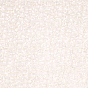 Sleeping Bear Ivory by Carole Designer Fabric