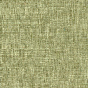 Sightsee Olive Tree by Carole Designer Fabric