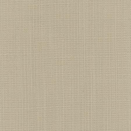 Narration Celadon by Carole Designer Fabric NARRATOR 100% Polyester Mexico None 54" - Swanky Fabrics -