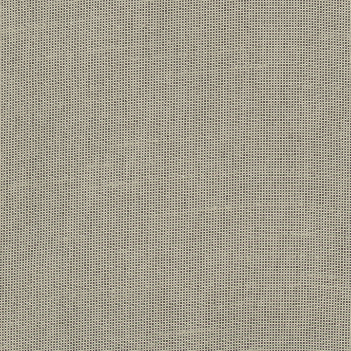 Fleeting Pebble by Carole Designer Fabric Royale 100% Polyester India Passes 50,000 Double Rubs Wyzenbeek Horizontal: 0 and Vertical: 0 54 - Swanky Fabrics -