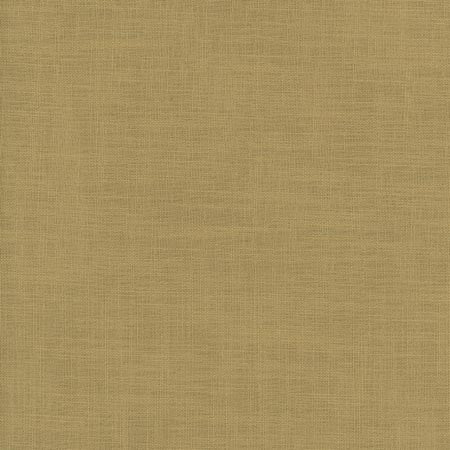 Fundamental Canyon by Carole Designer Fabric FUNDAMENTAL 100% Polyester Turkey Passes 20,000 Double Rubs Wyzenbeek Horizontal: None and Vertical: None 54" - Swanky Fabrics -