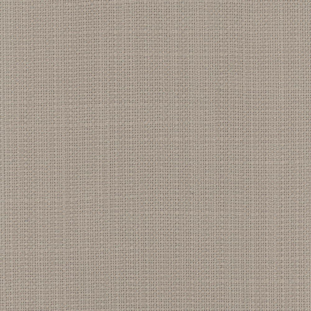 Narration Birch by Carole Designer Fabric Narrator 100% Polyester Mexico Passes 30,000 Double Rubs Wyzenbeek Horizontal: 0 and Vertical: 0 54 - Swanky Fabrics -