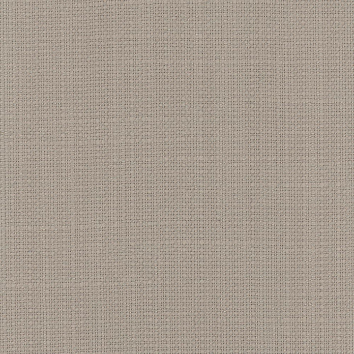 Narration Birch by Carole Designer Fabric Narrator 100% Polyester Mexico Passes 30,000 Double Rubs Wyzenbeek Horizontal: 0 and Vertical: 0 54 - Swanky Fabrics -