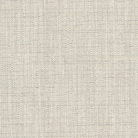 Cortland Oyster by Carole Designer Fabric Gala 100% Polyester India None 54.75" - Swanky Fabrics -