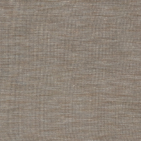Sensational Java by Carole Designer Fabric Best Dressed 100% Polyester N/A None 54" - Swanky Fabrics -