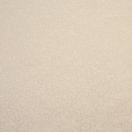 Gravel Path Parchment by Carole Designer Fabric State Of The Art 100% Polyester INDIA None 54" - Swanky Fabrics -