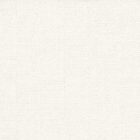 Cortland Snow by Carole Designer Fabric Gala 100% Polyester India 30,000 WYZENBEEK DOUBLE RUBS None 54.75" - Swanky Fabrics -
