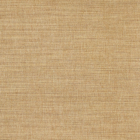 Boardroom Straw by Carole Designer Fabric Power Play 100% IFR Hybrid Polyester 25,000 Wyzenbeek Double Rubs None 54" - Swanky Fabrics -