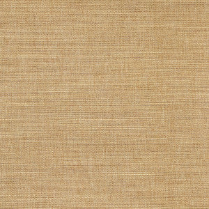 Boardroom Straw by Carole Designer Fabric